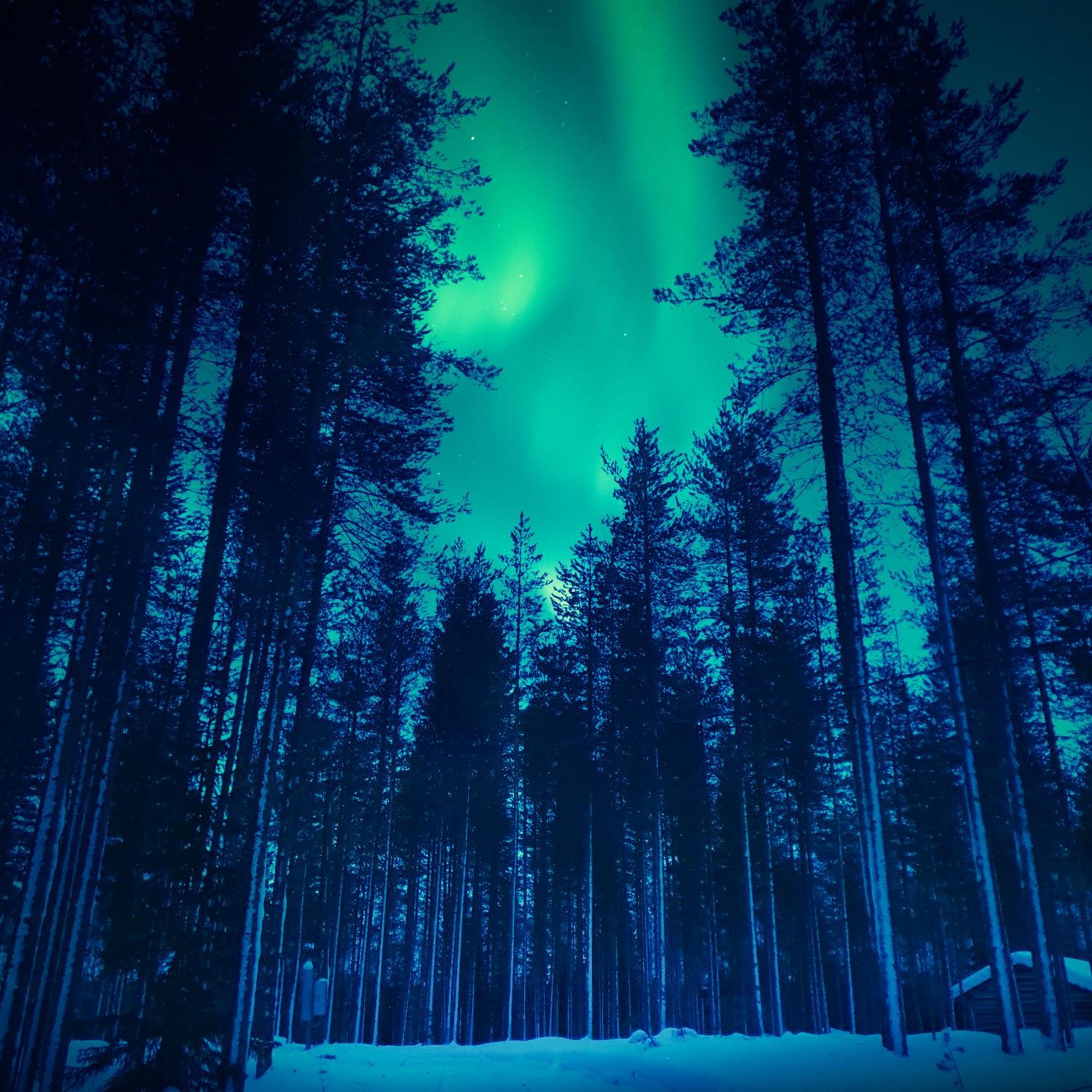 Sky Lodging ~ Sleeping Under The Stars Рованиеми Экстерьер фото